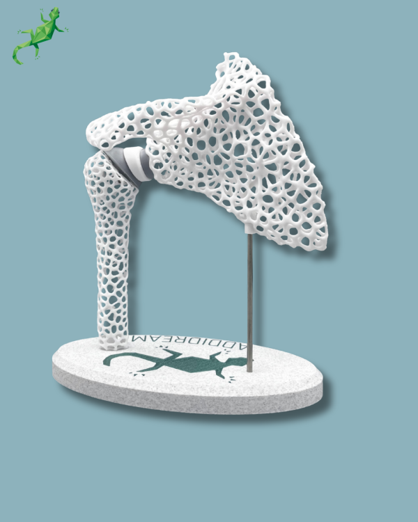 Display Shoulder Awareness Lattice with Cover - Ref 17-AF-01 - Image 6