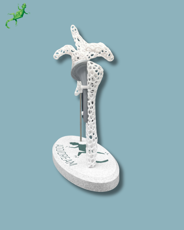 Présentoir Épaule Sensibilisation Lattice avec Capot - Ref 17-AF-01 – Image 5