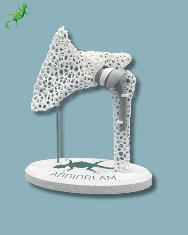 Display Shoulder Awareness Lattice with Cover - Ref 17-AF-01 - Image 3