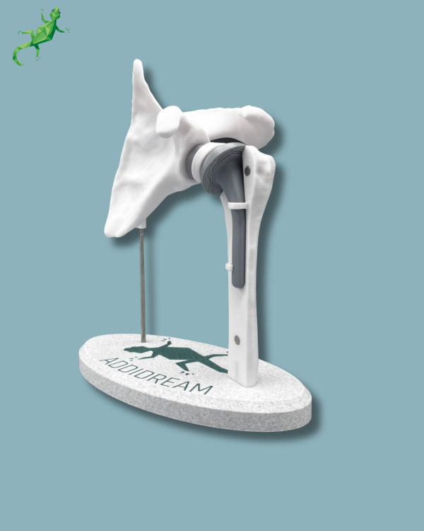Display Shoulder Awareness Full with Cover - Ref 17-AC-01 - Image 6
