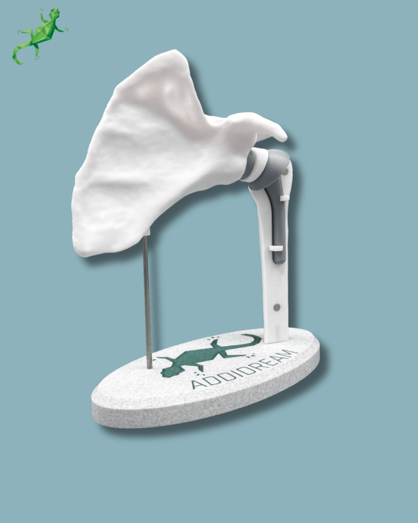 Display Shoulder Awareness Full with Cover - Ref 17-AC-01 - Image 5