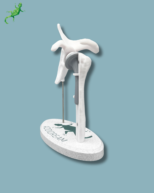 Display Shoulder Awareness Full with Cover - Ref 17-AC-01 - Image 3