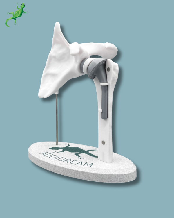Display Shoulder Awareness Full with Cover - Ref 17-AC-01 - Image 2