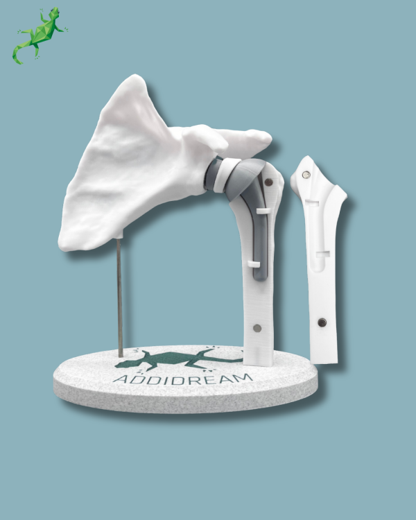 Display Shoulder Awareness Full with Cover - Ref 17-AC-01