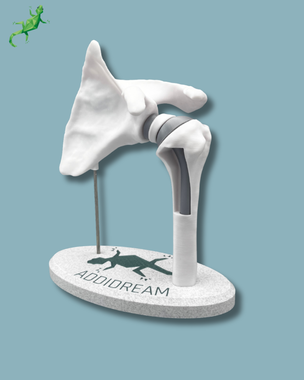 Présentoir Épaule Sensibilisation Plein avec Ouverture - Ref 17-AB-01 – Image 9