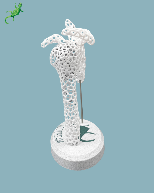 Présentoir Épaule Sensibilisation Lattice - Ref 17-AD-01 – Image 10