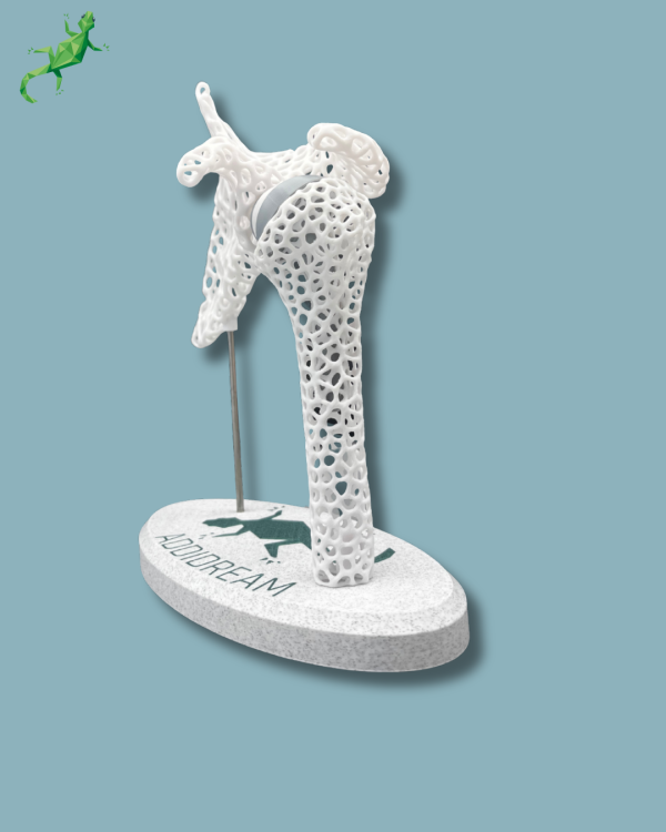Display Shoulder Awareness Lattice - Ref 17-AD-01 - Image 5