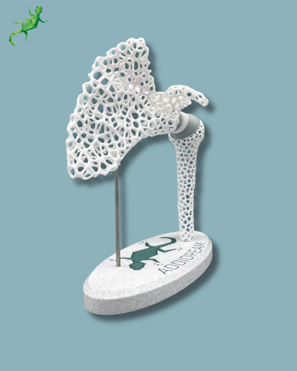 Display Shoulder Awareness Lattice - Ref 17-AD-01 - Image 13