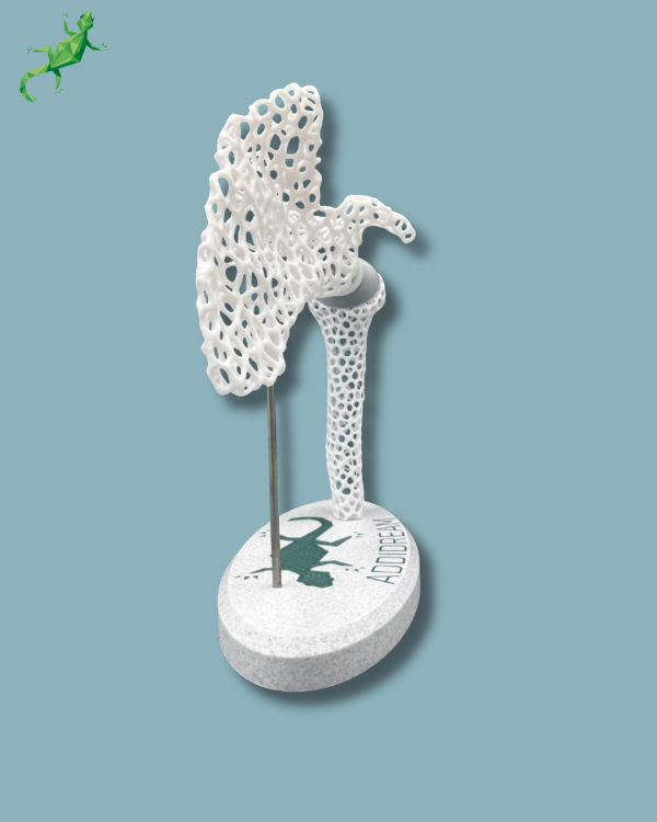 Display Shoulder Awareness Lattice - Ref 17-AD-01 - Image 12