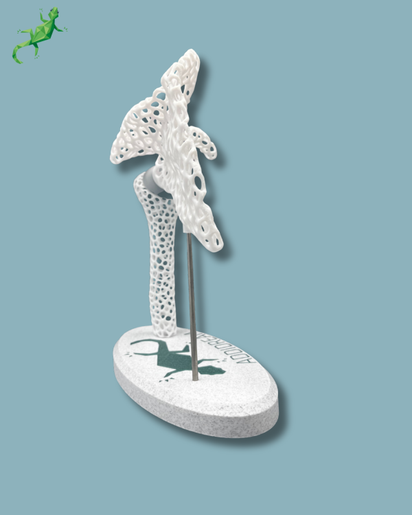 Display Shoulder Awareness Lattice - Ref 17-AD-01 - Image 11