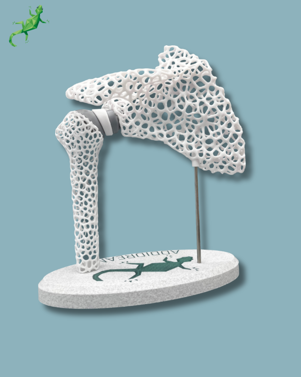 Display Shoulder Awareness Lattice - Ref 17-AD-01 - Image 9