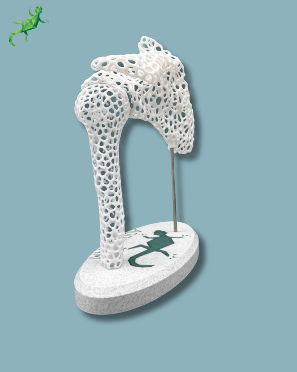 Présentoir Épaule Sensibilisation Lattice - Ref 17-AD-01 – Image 9