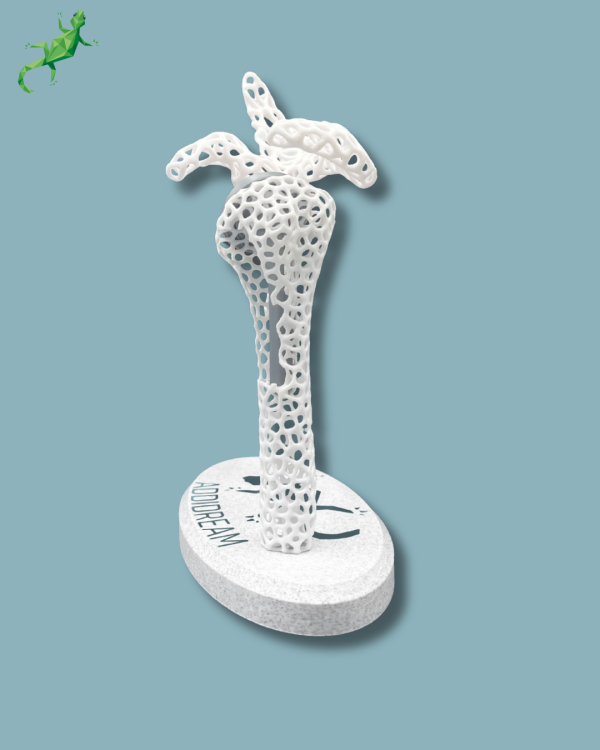 Display Shoulder Awareness Lattice with window - Ref 17-AD-01 - Image 9