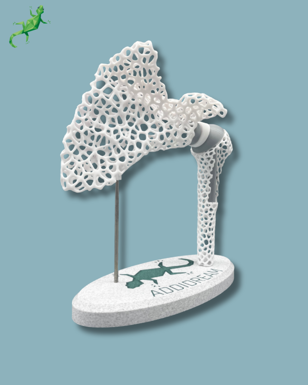 Display Shoulder Awareness Lattice with window - Ref 17-AD-01 - Image 4