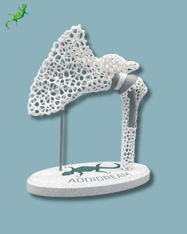Display Shoulder Awareness Lattice with window - Ref 17-AD-01 - Image 3