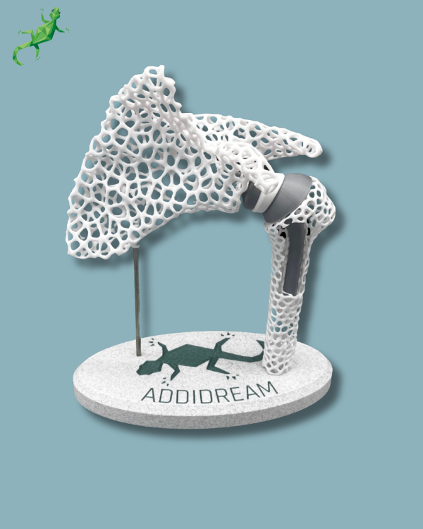 Display Shoulder Awareness Lattice with window - Ref 17-AD-01 - Image 2