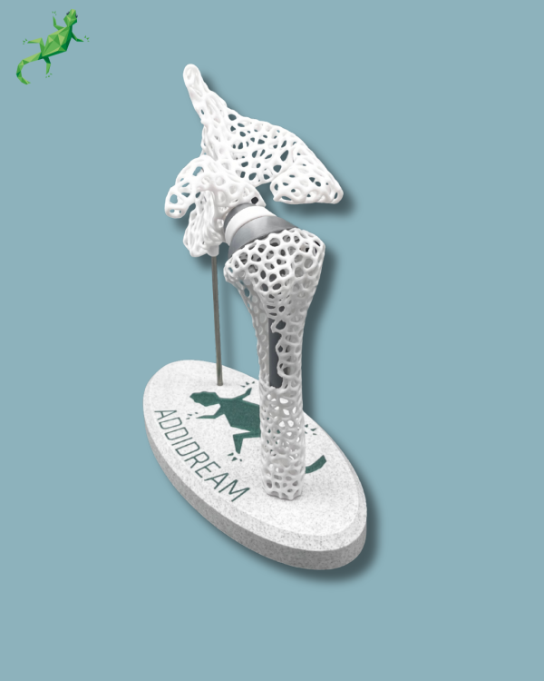 Display Shoulder Awareness Lattice with window - Ref 17-AD-01 - Image 13