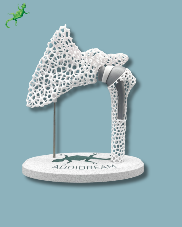 Display Shoulder Awareness Lattice with window - Ref 17-AD-01