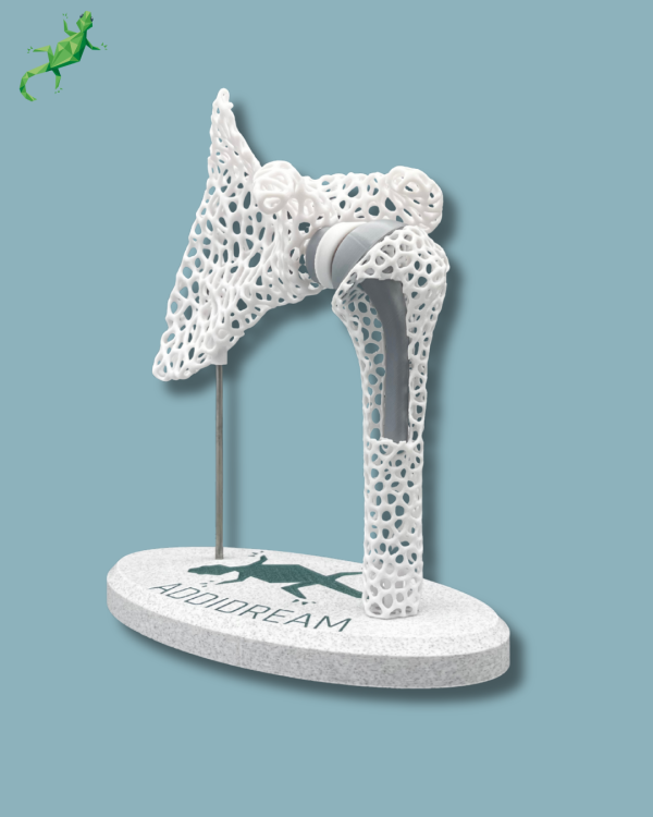 Display Shoulder Awareness Lattice with window - Ref 17-AD-01 - Image 11