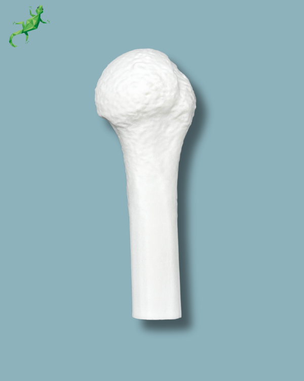Mid-Humerus / Addi-CORT+ - Ref 16-06-02 - Image 4
