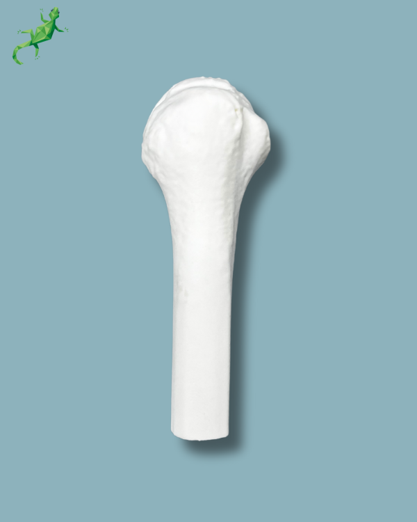 Mid-Humerus / Addi-CORT+ - Ref 16-06-02 - Image 2