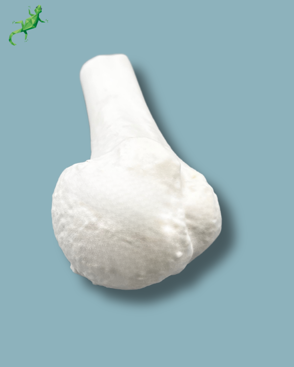 Mid-Humerus / Addi-CORT+ - Ref 16-06-02 - Image 6