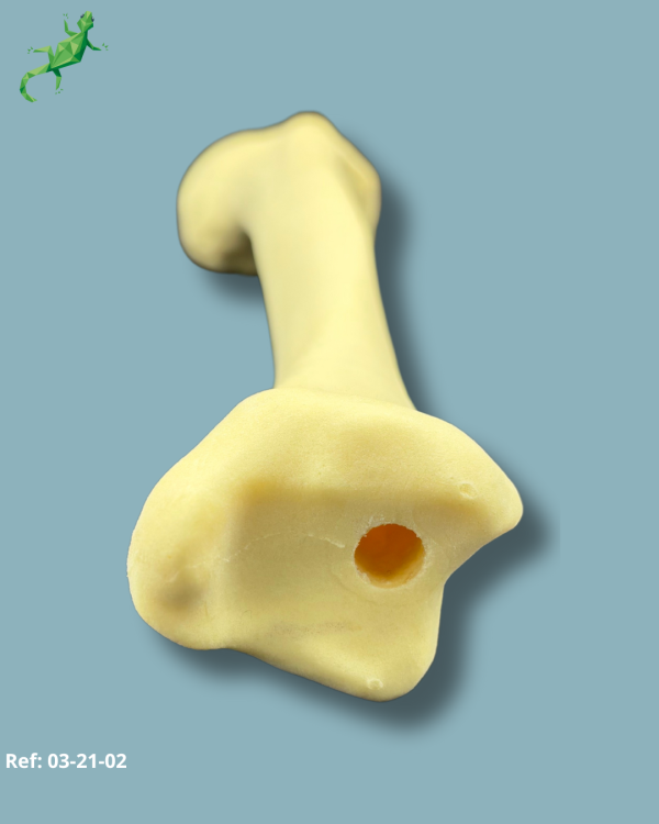 TIBIA / MEDIUM / LEFT / ADDI-CAN with intramedullar canal - Ref 03-21-02 - Image 5