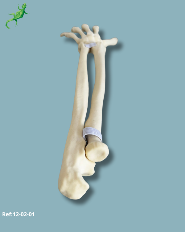 Wrist / Left / Addi-CAN - Ref 12-02-01 - Image 7