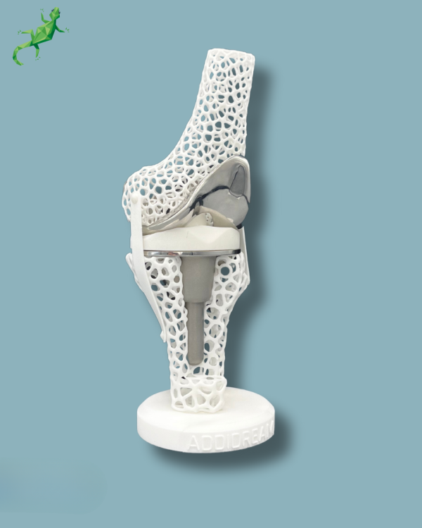 Présentoir Genou Premium Lattice avec capot - Ref 04-AL-01 – Image 3