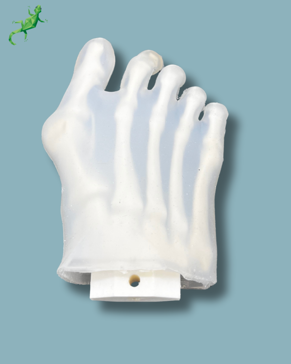 Avant-Pied transparent avec malformation, droit - Ref 01-42-01 – Image 6