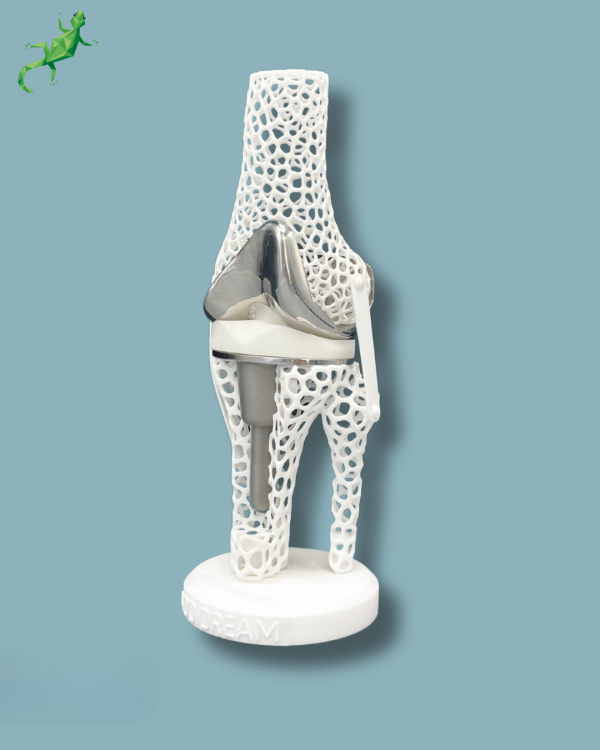 Présentoir Genou Premium Lattice avec capot - Ref 04-AL-01 – Image 6