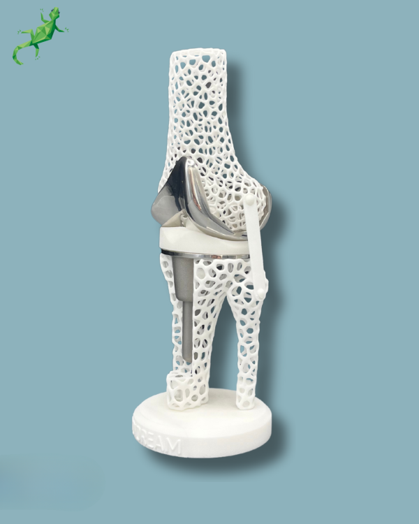 Présentoir Genou Premium Lattice avec capot - Ref 04-AL-01 – Image 7