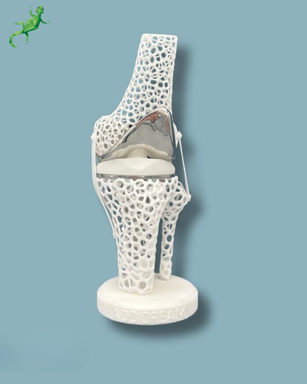 Présentoir Genou Premium Lattice avec capot - Ref 04-AL-01 – Image 9