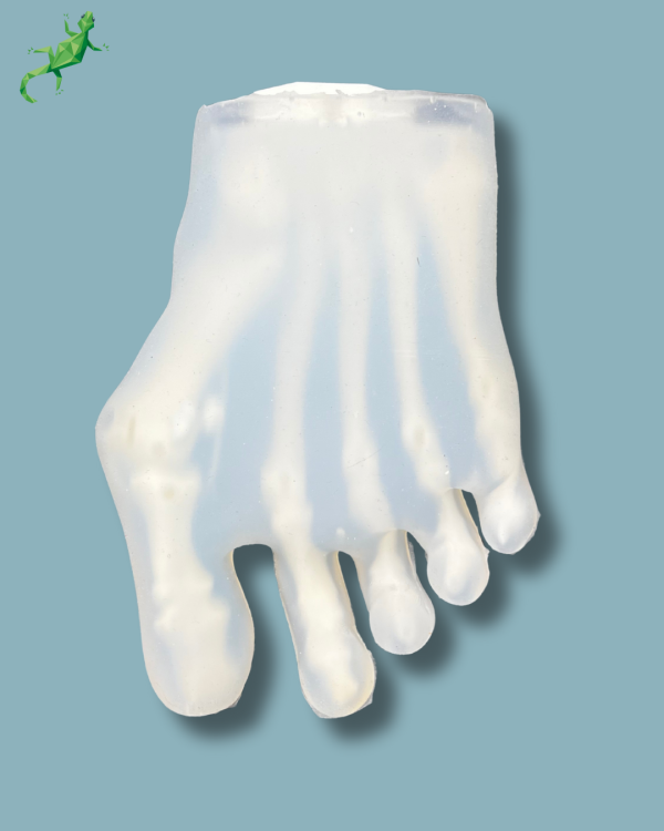 Avant-Pied transparent avec malformation, droit - Ref 01-42-01 – Image 7