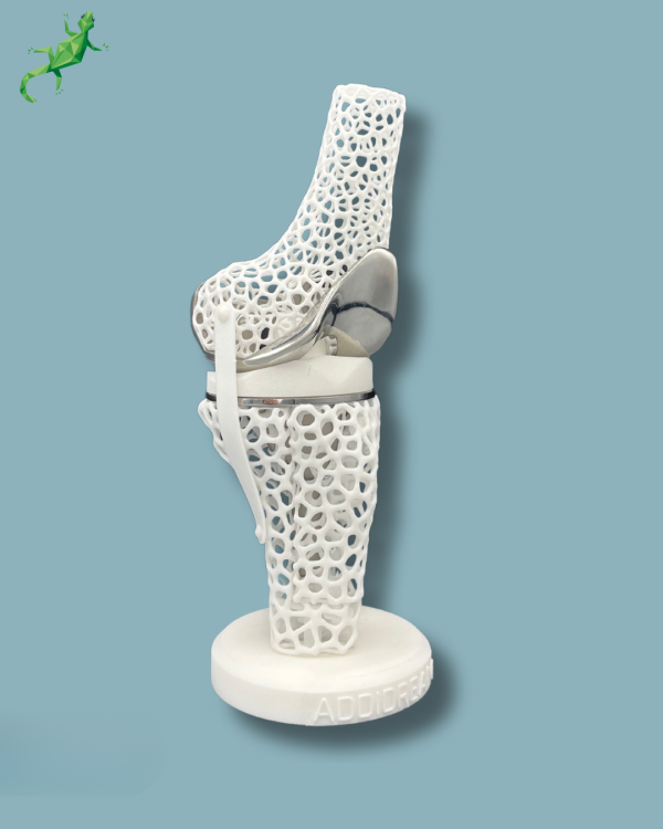Présentoir Genou Premium Lattice avec capot - Ref 04-AL-01 – Image 10