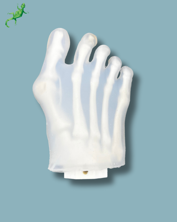 Avant-Pied transparent avec malformation, droit - Ref 01-42-01 – Image 3