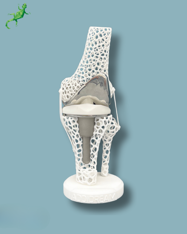 Présentoir Genou Premium Lattice avec capot - Ref 04-AL-01 – Image 2