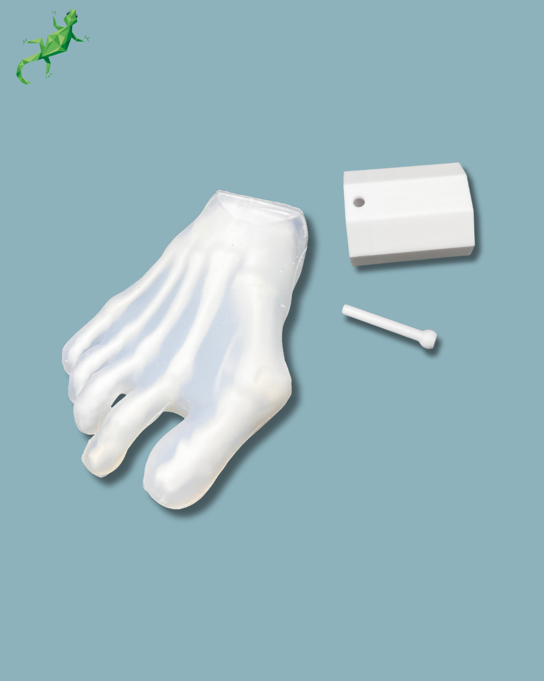 Pack ‘Transparent Forefoot with deformity’ + reusable viste attachment, right – Ref 01-44-01