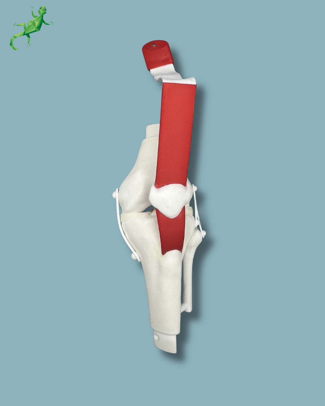 Consumable arthroscopy knee – Ref 04-38-02