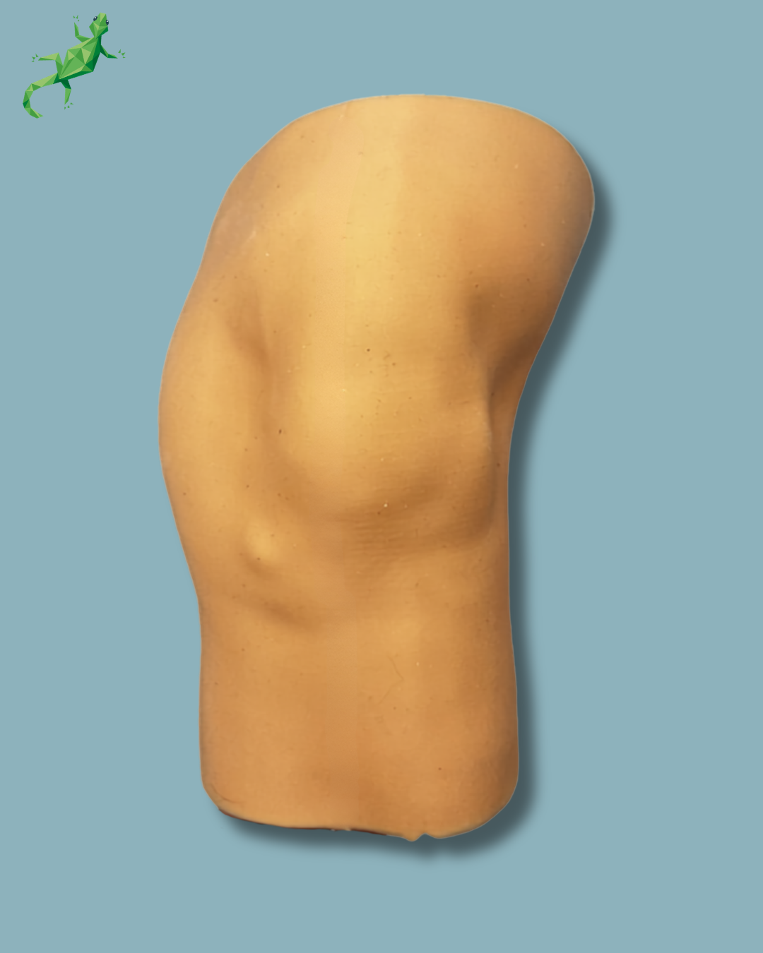 Knee arthroscopy skin – Ref 04-37-02