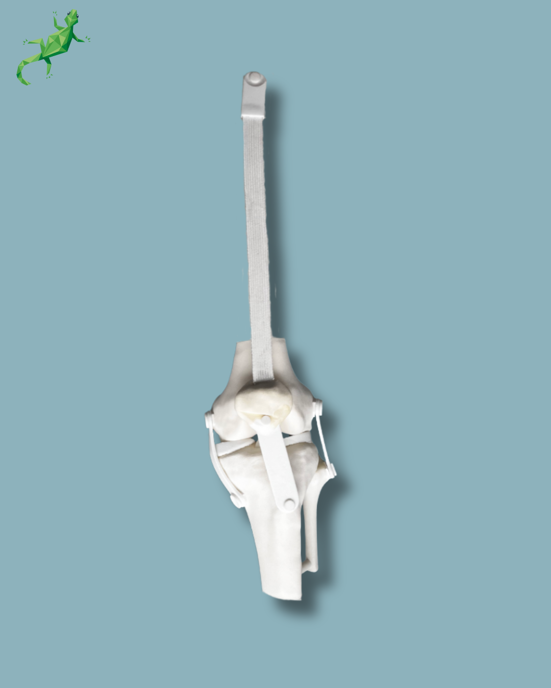 Consumable arthroscopy knee – Ref 04-38-01